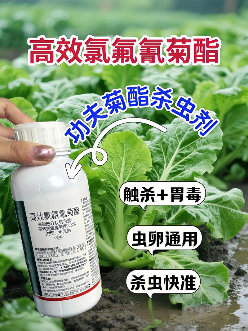 贵州代生中心:农药对供卵代生妈妈的危害